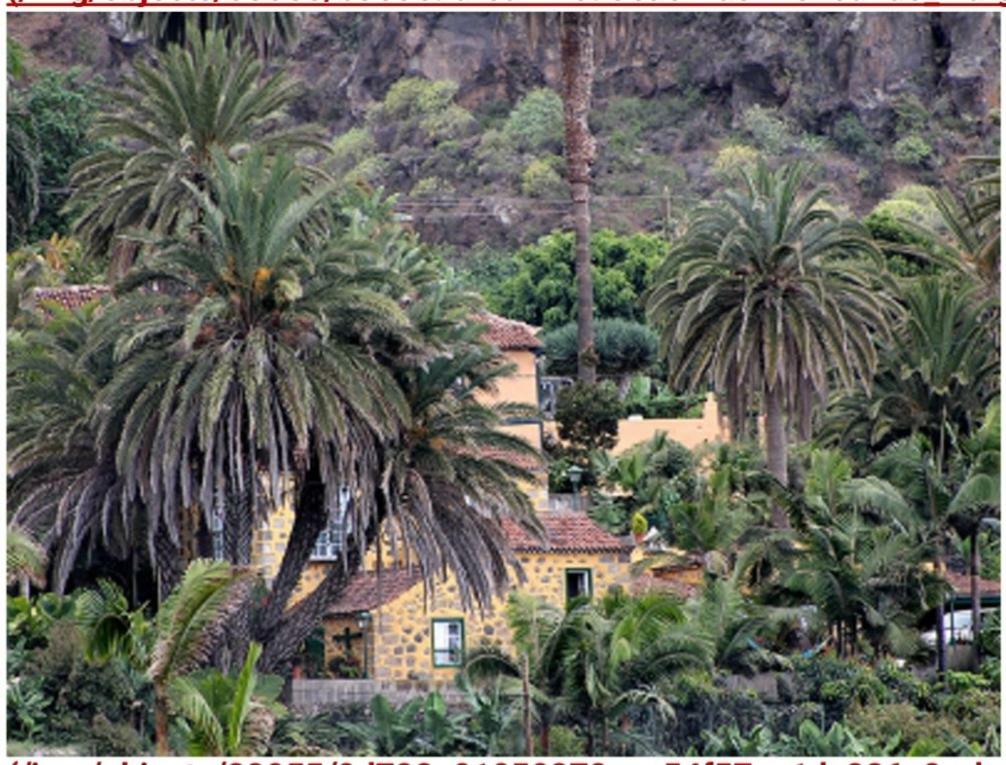 Finca Dona Juana Los Realejos Bagian luar foto
